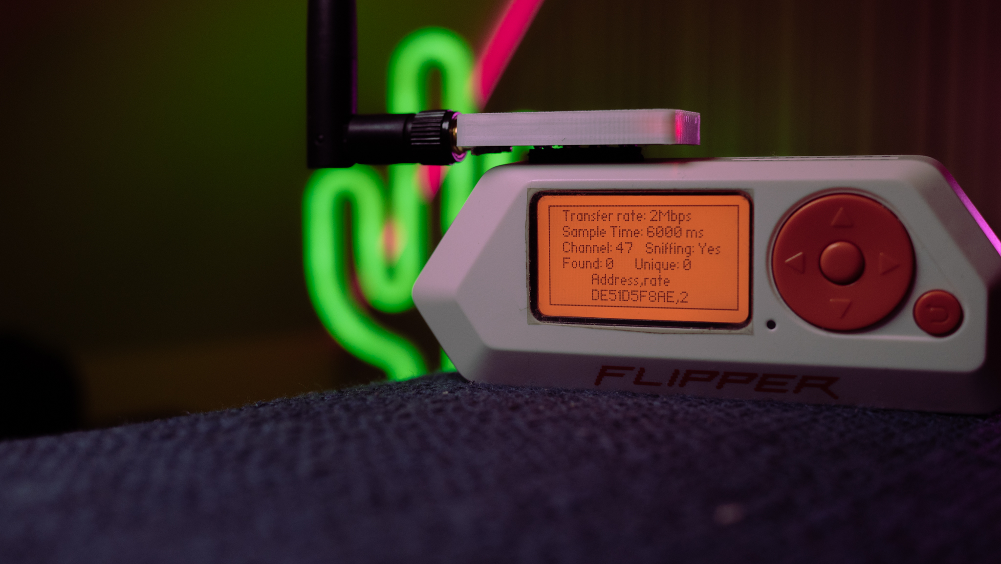 Cactusio Product